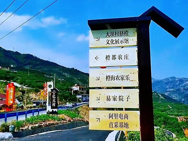 ”释放向“新”力解锁美丽生态新亮点爱游戏app“绿”动新重庆 逐“绿(图6)