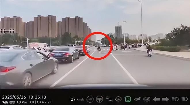 后续：女司机气到流产公布完整行车记录仪爱游戏app登录河北女司机与骑手冲突(图8)