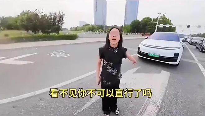 后续：女司机气到流产公布完整行车记录仪爱游戏app登录河北女司机与骑手冲突(图5)